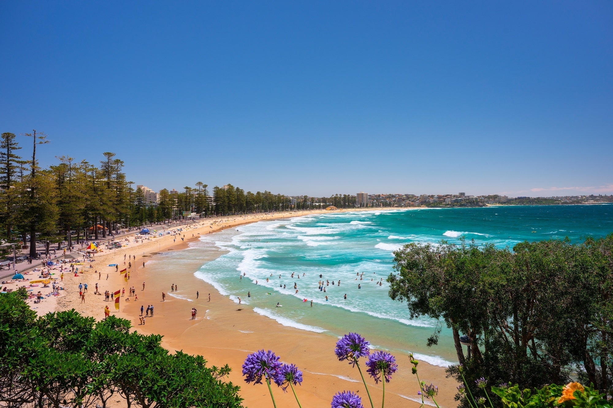 Favourite Things To Do in Manly!