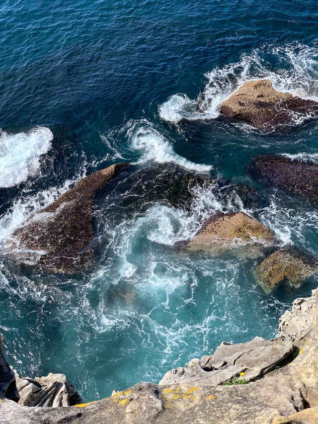 Dee Why Headland Coastal Walk